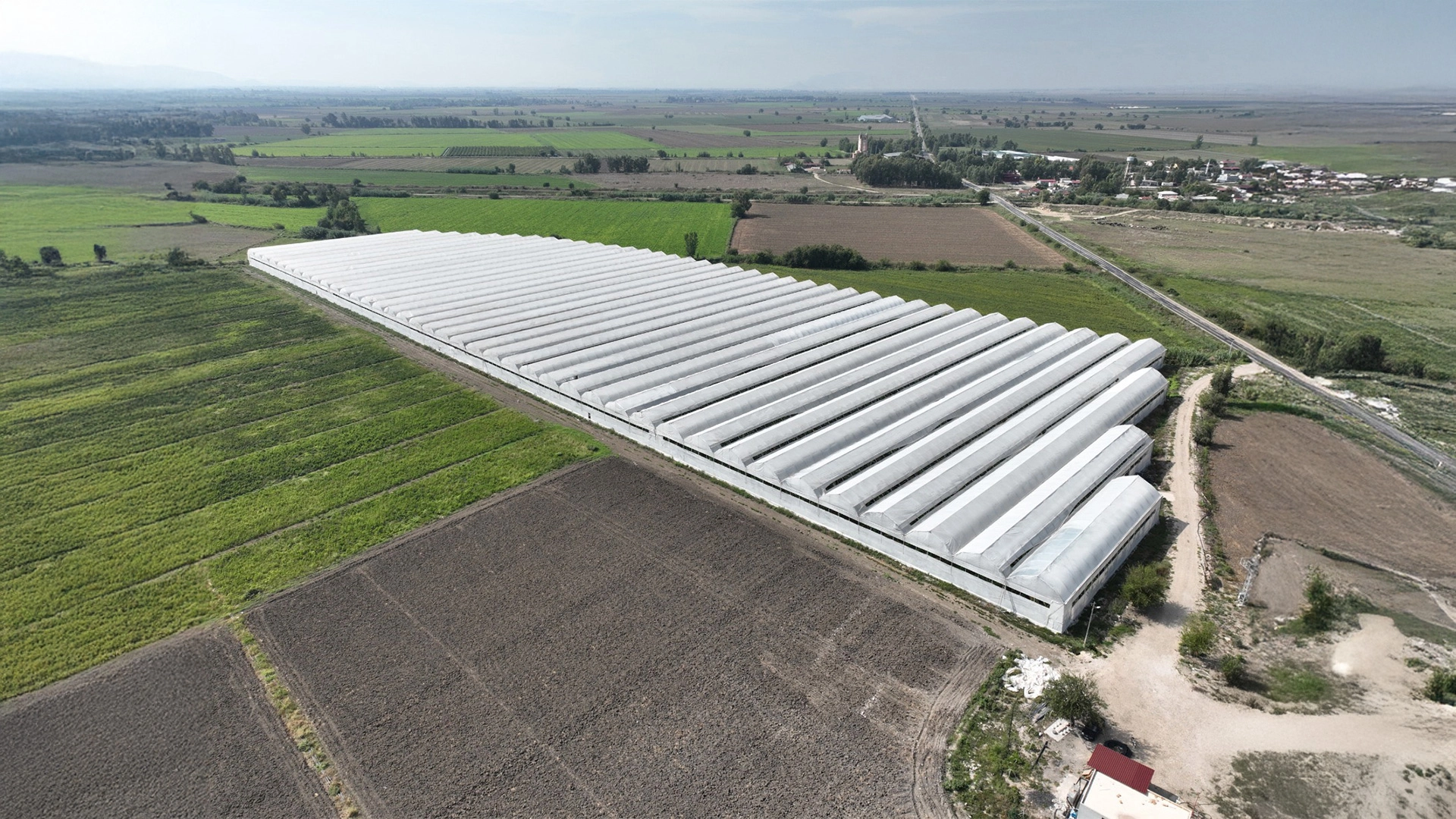 Biten Proje: Muz Serası